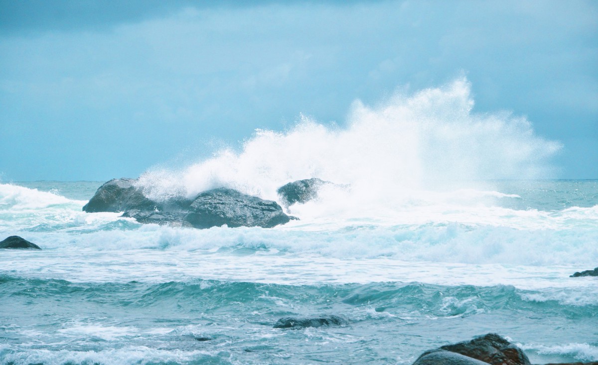 121338087497.jpg 121338087497.jpg